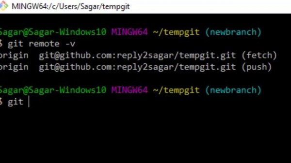 How to know remote repository url in git