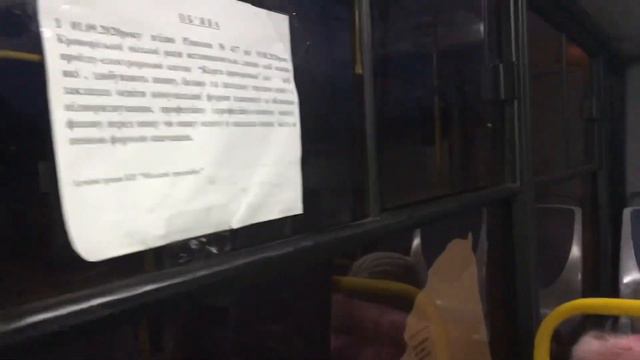 Поход за новыми орхидеями -2! смотреть онлайн