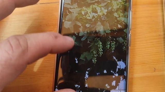 Сравнение Realme 11 Pro+ / Samsung 23S Ultra смотреть онлайн