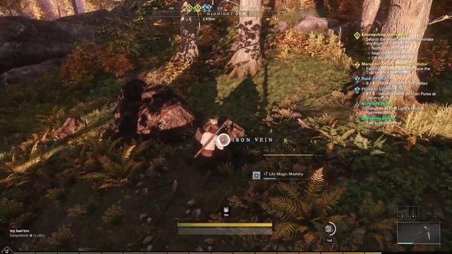 New World Guide: Best Iron Ore Locations смотреть онлайн