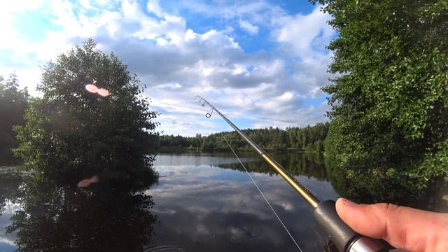 ЭТА ОСНАСТКА ВЫРУЧАЕТ КОГДА НЕ КЛЮЁТ. Рыбалка на ЗАБЫТОМ лесном озере. смотреть онлайн