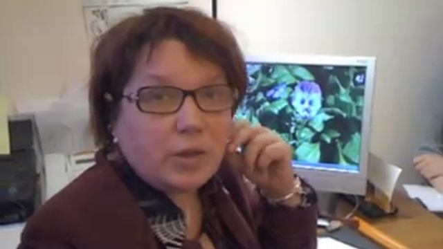 Городская библиотека смотреть онлайн