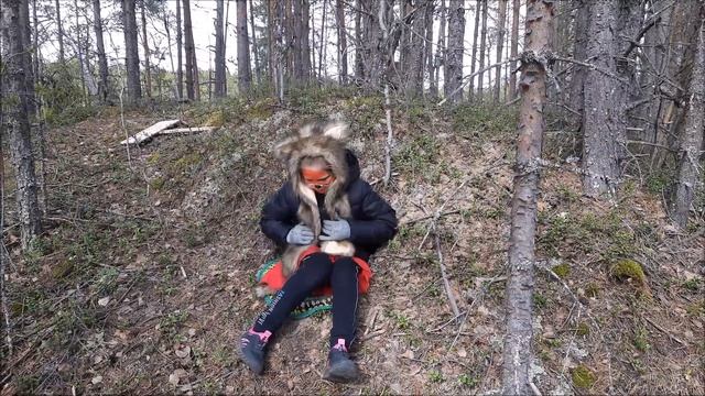 Как две лисы нору делили смотреть онлайн