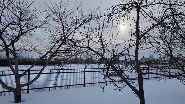 Москва. Подмосковные зимние вечера. Февраль 2023 года. смотреть онлайн