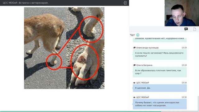 Щенки смотреть онлайн