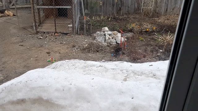 стряпаем домашние пельмени/варим суп/сладкие булки смотреть онлайн