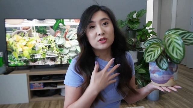Unusual & Underrated Houseplants More People Need To Know About