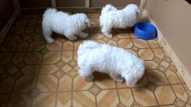 DSCF1496 смотреть онлайн