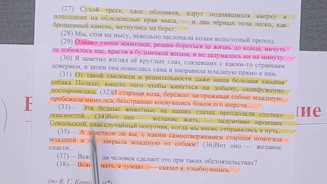 Анализ текста. Выявление и формулировка проблемы. Сочинение ЕГЭ по русскому языку – 2022 | Урок 2 смотреть онлайн