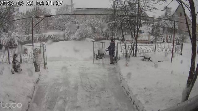 Снегоуборщик Champion ST553 в деле смотреть онлайн