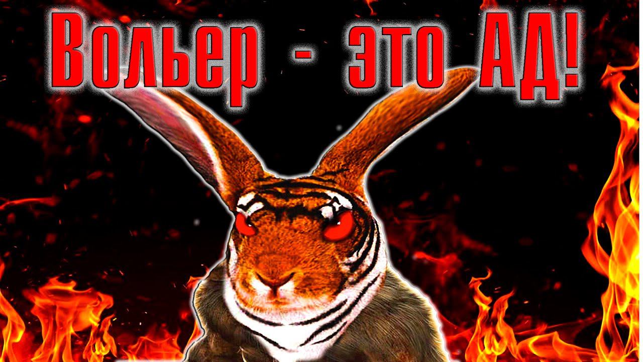 Вольер - это ад для кроликов! смотреть онлайн