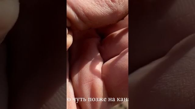 Нашел золотое кольцо смотреть онлайн