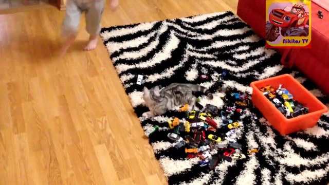 Nikitos играет с кошкой Джесикой