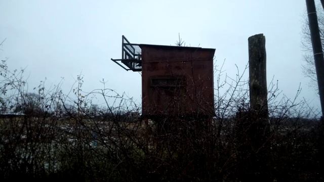 Ноябрь 2023г 13 число.
