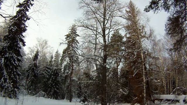 Зима, февраль, лыжи и солнце, архив смотреть онлайн