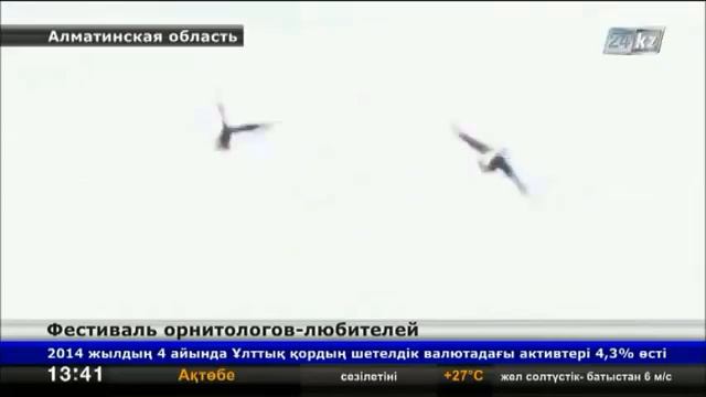 Фестиваль наблюдения за птицами стартовал на озере Алаколь смотреть онлайн