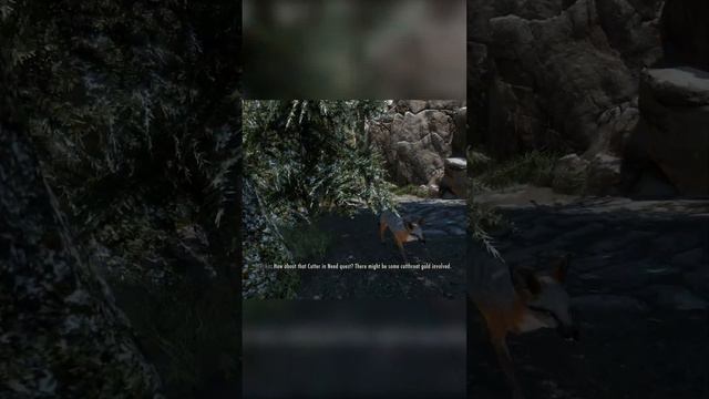 Herika (AI Skyrim Companion) fears the rabbit #skyrim #ai смотреть онлайн