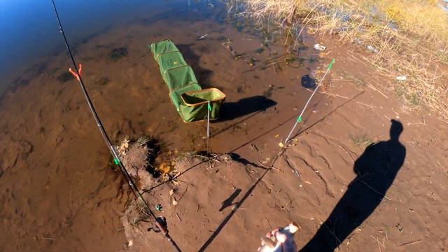 Димитровское водохранилище, рыбалка (осень 2022). смотреть онлайн