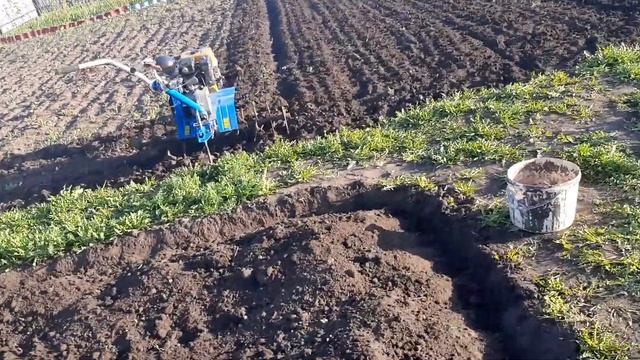 Грачи при вспашке. смотреть онлайн