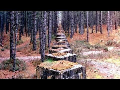 Самые Странные и Невероятные Находки в Лесу смотреть онлайн