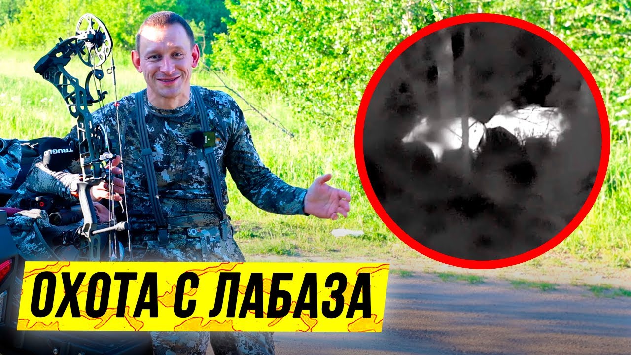 Охота на кабана с лабаза | ? ОХОТА ? 2021 смотреть онлайн