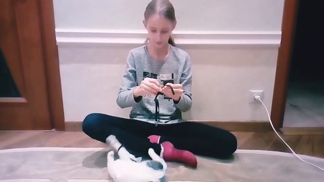 Обзор шлейки для кота смотреть онлайн