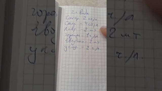 Рецепты на каждый день с Ариной