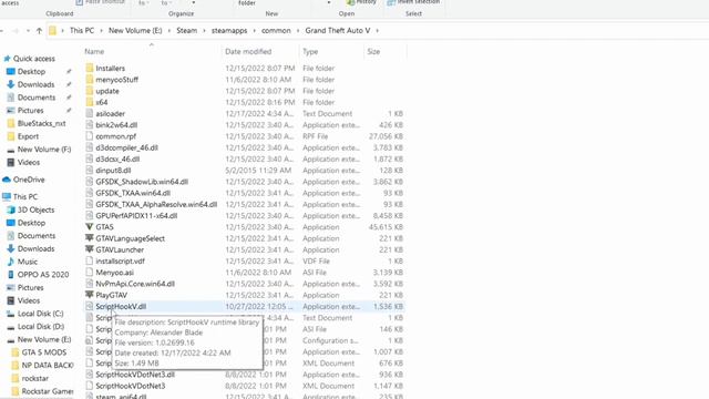 Script Hook V Critical Error - GTA 5