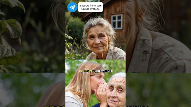 Секрет Огорода