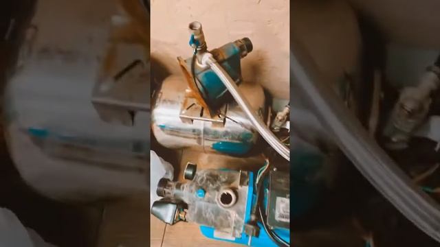 VID 20200409 WA0001 смотреть онлайн