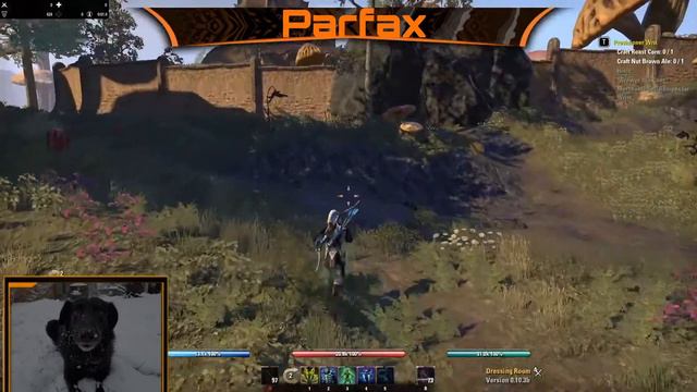 ESO New/Returning Player Guide