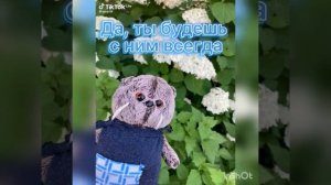 Сборник Басиков из тт (1 часть)