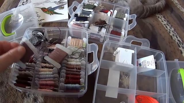 СП "Мои любимые коты" Тимофей-мечтатель 16 отчет смотреть онлайн