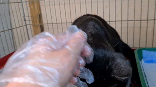 Йохан из гаражей смотреть онлайн
