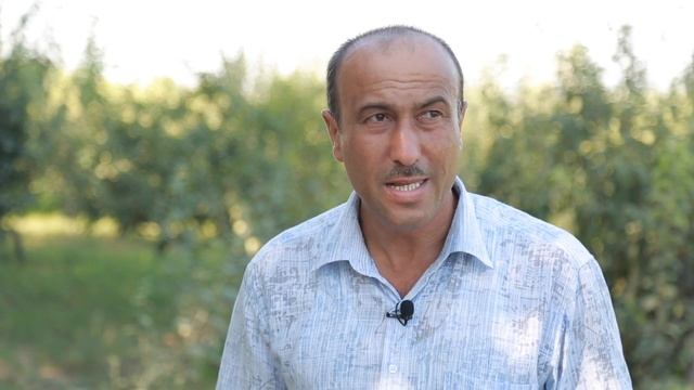 Узумда яшил ва искана пайванд турлари - Uzum yashil va iskana payvand turi смотреть онлайн