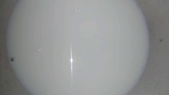 Кулинарный фестиваль