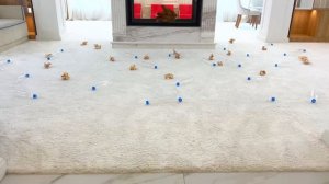 Супер Сеня Продает Ники Сломанные детские МАШИНКИ