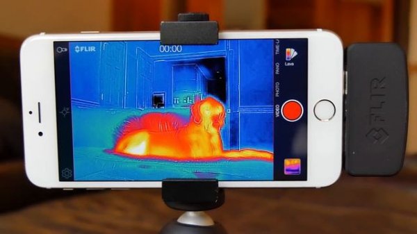 Flir One Thermal Imager for iOS and Android