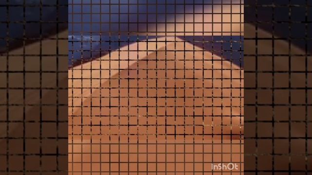 Что важно для ящерицы и чем они питаются. смотреть онлайн