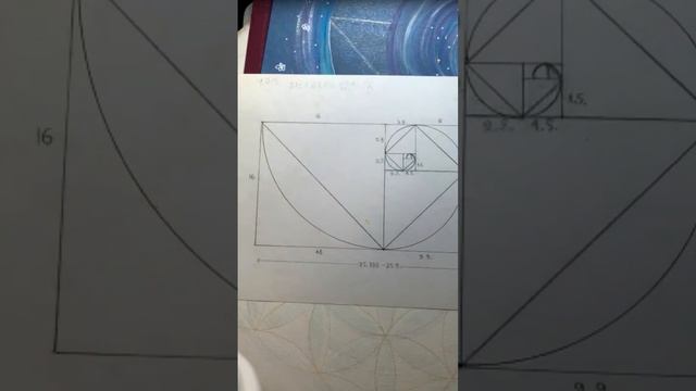 Спираль золотого сечения и спираль Фибоначчи. В чем отличие? смотреть онлайн