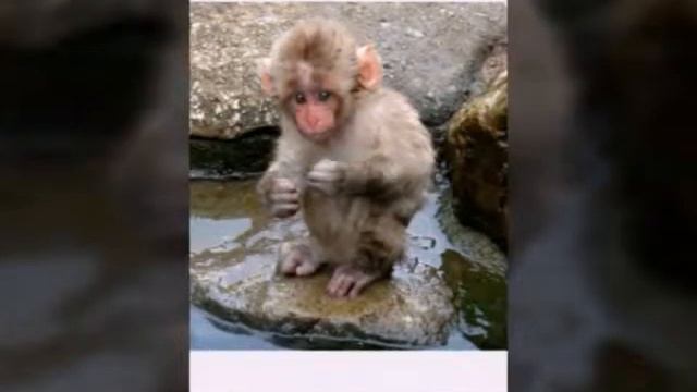 Карайык смотреть онлайн