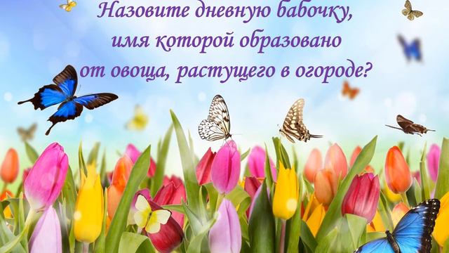 Онлайн-викторина «Мир порхающих цветов» смотреть онлайн
