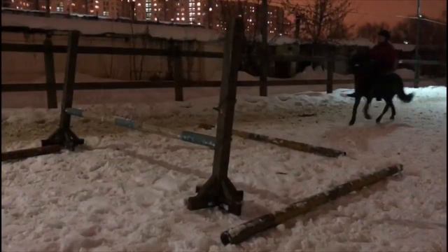 Пьер и Женя, прыжки до 80👐🏻 смотреть онлайн
