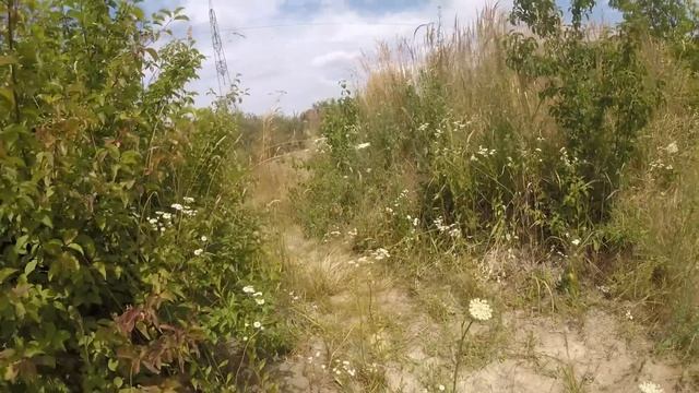 My most ridiculous knife kill so far - SSP18 Giveaway смотреть онлайн