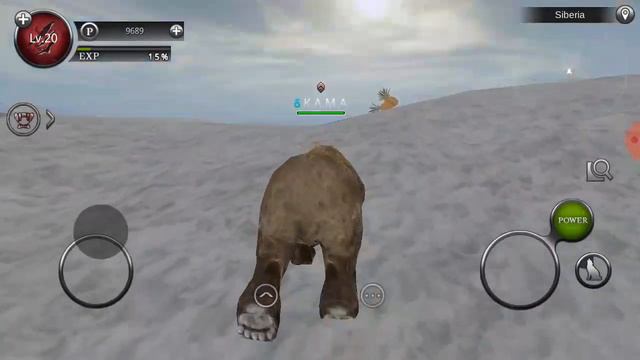 Wild Animals Online LIVE•Siberia +wild Land
