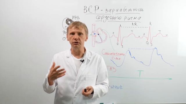 Actenzo Что такое Вариабельность сердечного ритма смотреть онлайн