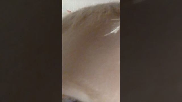 типы людей когда они на трансляции Ютуба смотреть онлайн