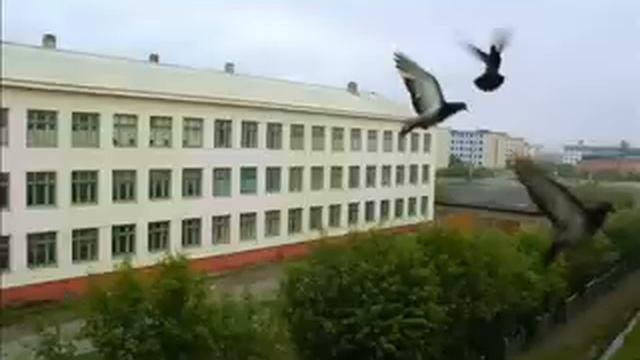 Zapolarny: The place where I was born. смотреть онлайн