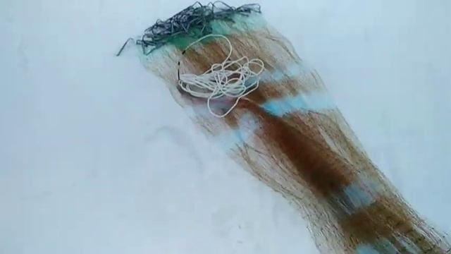 Сasting net 5.5m mesh 35mm смотреть онлайн