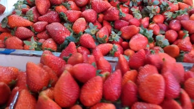 Израиль, рынок "Шука-Кармель" смотреть онлайн